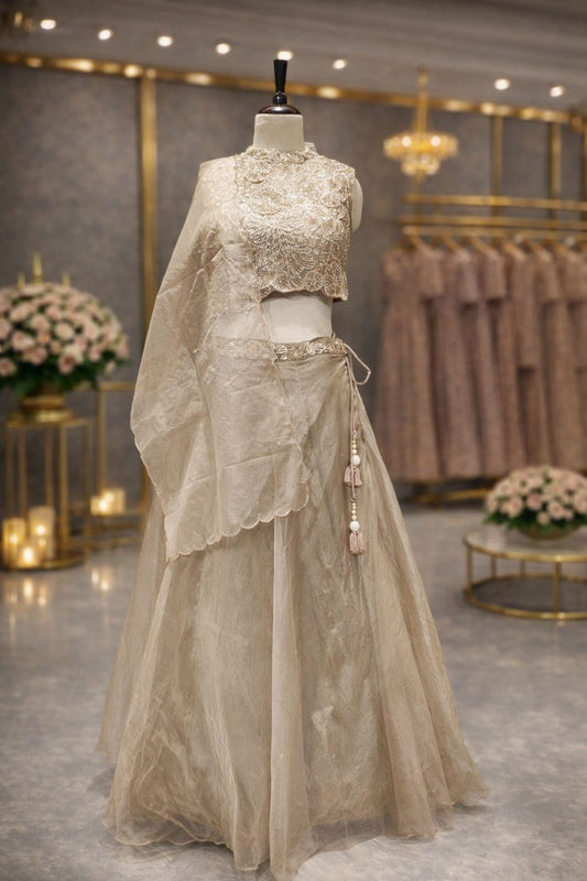 Elegant Pearl Glow Organza Indo Western Set with Intricate Kardana Work for a Graceful Party Look